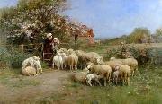 Sheep 111 unknow artist